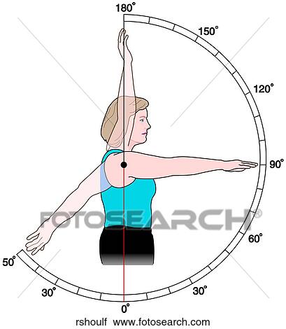 ROM Shoulder Flex/Ext View Large Illustration Clip Art - ROM Shoulder Flex/Ext. Fotosearch