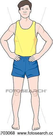 Stock Illustration - Anterior view of adult male figure.. Fotosearch