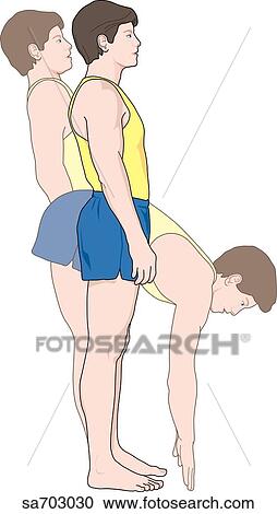 Lateral view of adult male figure as he leans back and bends forward to demonstrate flexion and extension of spine. View Large Illustration Clipart - Lateral view of adult male figure as he leans back and bends forward to demonstrate flexion and extension of spine.. Fotosearch
