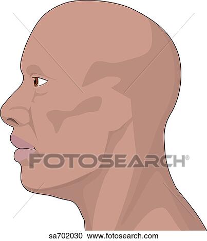 Clipart - Lateral view of head of African American male.. Fotosearch