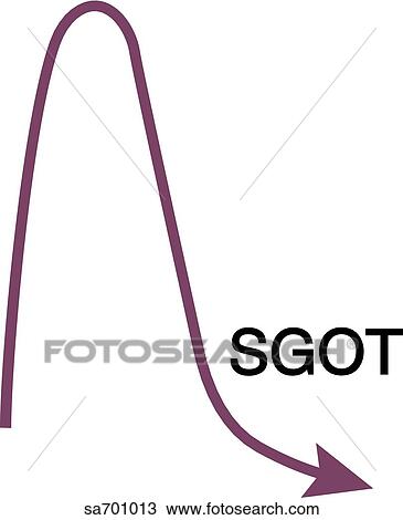 Drawing - SGOT curve from graph of elevated enzyme activity versus days after onset of cardiac infarct.. Fotosearch