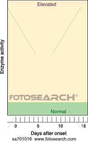 Stock Illustration - Unplotted graph of elevated enzyme activity versus days after onset of cardiac infarct.. Fotosearch