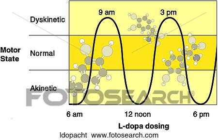 Stock Illustration - L-dopa Chart. Fotosearch
