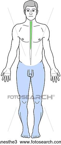 Drawing - . Fotosearch