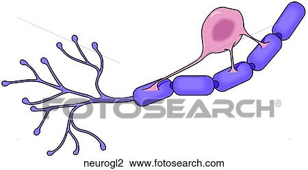 Drawing - . Fotosearch