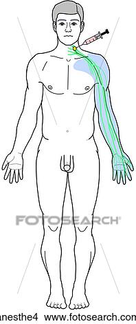 Stock Illustration - . Fotosearch