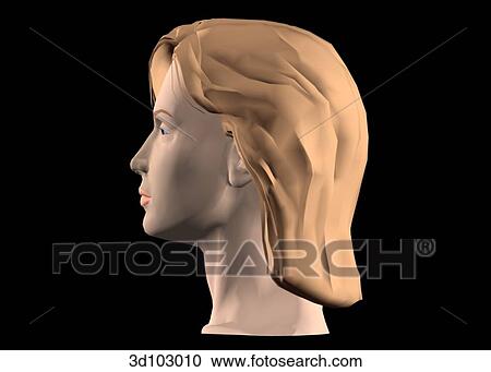 Lateral view of the female face, including neck. View Large Illustration Clipart - Lateral view of the female face, including neck.. Fotosearch