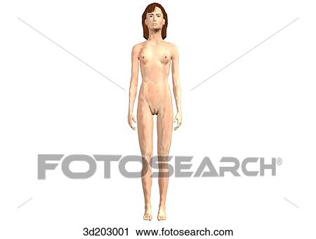 Anterior external view of 13-year-old girl. View Large Illustration Clip Art - Anterior external view of 13-year-old girl.. Fotosearch