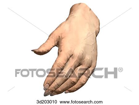 External view of relaxed hand; anterolateral view. View Large Illustration Clipart - External view of relaxed hand; anterolateral view.. Fotosearch