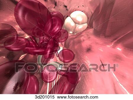 Inferior view of the right chamber of the heart, showing tricuspid and pulmonic valves with blood cells. View Large Illustration Stock Illustration - Inferior view of the right chamber of the heart, showing tricuspid and pulmonic valves with blood cells.. Fotosearch