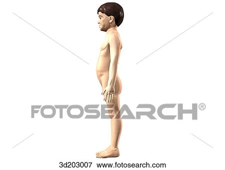 Lateral external view of an 8-year-old boy. View Large Illustration Stock Illustration - Lateral external view of an 8-year-old boy.. Fotosearch