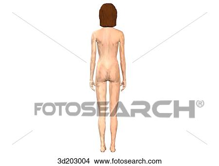 Posterior external view of 13-year-old girl. View Large Illustration Stock Illustration - Posterior external view of 13-year-old girl.. Fotosearch