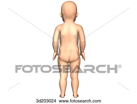 Posterior external view of a toddler. View Large Illustration Stock Illustration - Posterior external view of a toddler.. Fotosearch