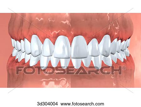 Anterior view of melanin pigment of gums. View Large Illustration Stock Illustration - Anterior view of melanin pigment of gums.. Fotosearch