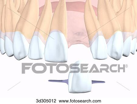 View of Maryland bridge. View Large Illustration Drawing - View of Maryland bridge.. Fotosearch