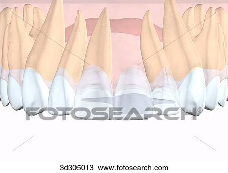 View of Maryland bridge in place. View Large Illustration Drawing - View of Maryland bridge in place.. Fotosearch
