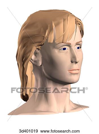 Anterior 3/4 view of an adult female head. View Large Illustration Stock Illustration - Anterior 3/4 view of an adult female head.. Fotosearch