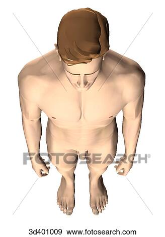External view of an adult male seen from above. View Large Illustration Stock Illustration - External view of an adult male seen from above.. Fotosearch