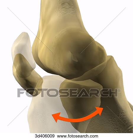 Lateral view of flexed knee joint superimposed onto symbolic representation. View Large Illustration Stock Illustration - Lateral view of flexed knee joint superimposed onto symbolic representation.. Fotosearch