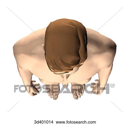 Stock Illustration - Superior external view of an adult male.. Fotosearch