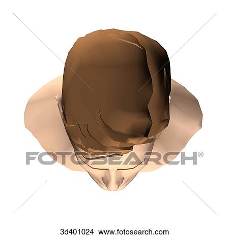Superior view of an adult male head. View Large Illustration Stock Illustration - Superior view of an adult male head.. Fotosearch