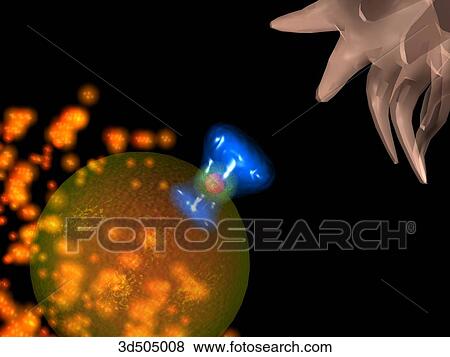 Stock Illustration of Close up of an ovary releasing an egg in the ...