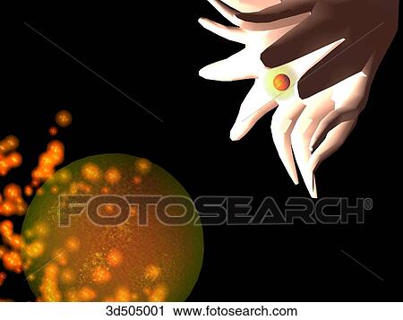 Clip Art - Close up of entrance (infundibulum) of uterine (fallopian) tube with egg entering.. Fotosearch