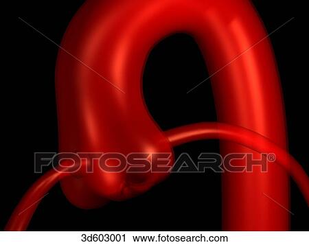 Anterior view of the base of the aorta and aortic valve with the coronary arteries. View Large Illustration Clip Art - Anterior view of the base of the aorta and aortic valve with the coronary arteries.. Fotosearch