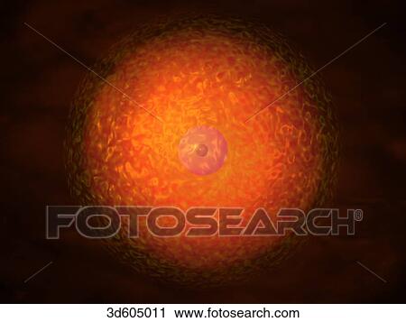 Human egg seconds after having been fertilized by a spermatozoon. Egg is still at single cell stage prior to pronucleate stage and cleavage. View Large Illustration Clip Art - Human egg seconds after having been fertilized by a spermatozoon. Egg is still at single cell stage prior to pronucleate stage and cleavage.. Fotosearch
