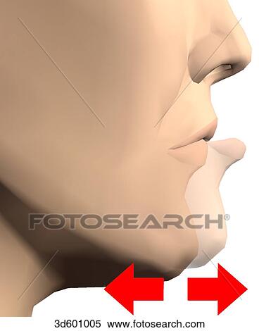 Lateral view of the face of an adult male showing retrusion and protrusion. View Large Illustration Stock Illustration - Lateral view of the face of an adult male showing retrusion and protrusion.. Fotosearch