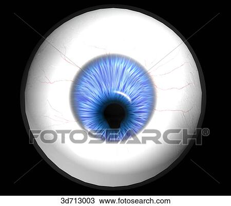 Coloboma iridis. Retention of the choroid fissure causing a congenital cleft in the iris. View Large Illustration Drawing - Coloboma iridis. Retention of the choroid fissure causing a congenital cleft in the iris.. Fotosearch