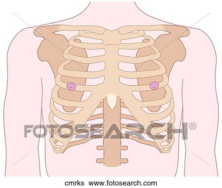 Chest Land Marks View Large Illustration Stock Illustration - Chest Land Marks. Fotosearch
