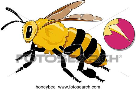 Honey Bee View Large Illustration Clip Art - Honey Bee. Fotosearch