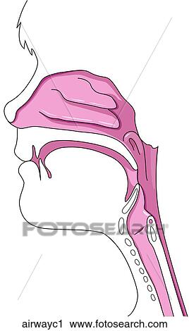 Clip Art - . Fotosearch