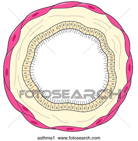 Clip Art - . Fotosearch