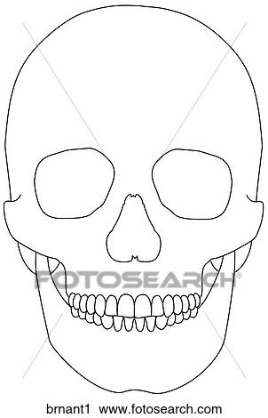 Clip Art - . Fotosearch