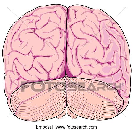 Clip Art - . Fotosearch