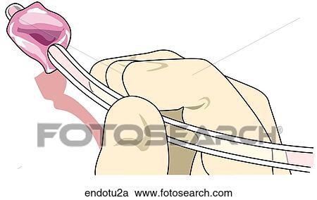 View Large Illustration Clipart - . Fotosearch