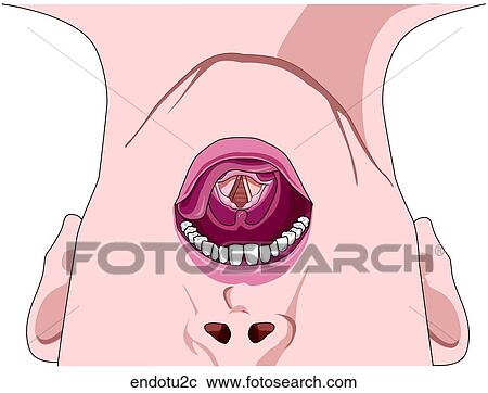 Clipart - . Fotosearch