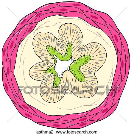 Drawing - . Fotosearch