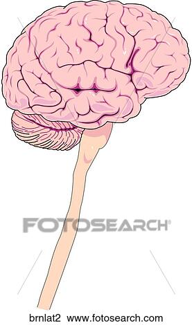 Drawing - . Fotosearch