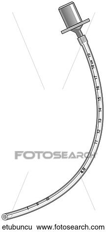 Stock Illustration - Uncuffed Endotracheal Tube. Fotosearch