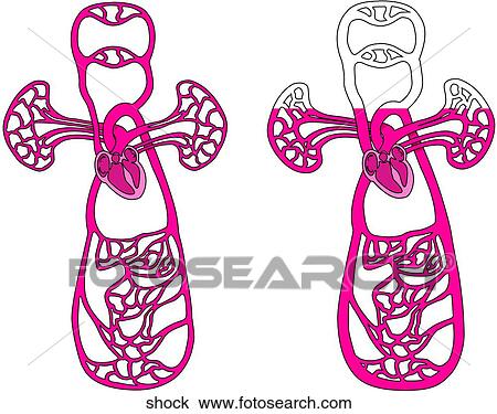 Diagram Showing Shock View Large Illustration Drawing - Diagram Showing Shock. Fotosearch