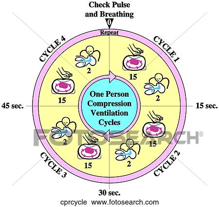 One Person CPR Cycle View Large Illustration Clip Art - One Person CPR Cycle. Fotosearch