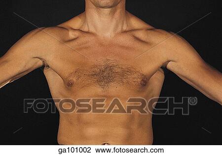 Anterior view of an adult male illustrating the surface of the pectoral region. View Large Illustration Drawing - Anterior view of an adult male illustrating the surface of the pectoral region.. Fotosearch