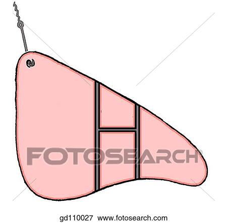 Stock Illustration - Elevated and exposed visceral surface of the liver. Fissures and sulci define the four lobes. Porta hepatis with bile passages and blood vessels at the transverse fissure.. Fotosearch