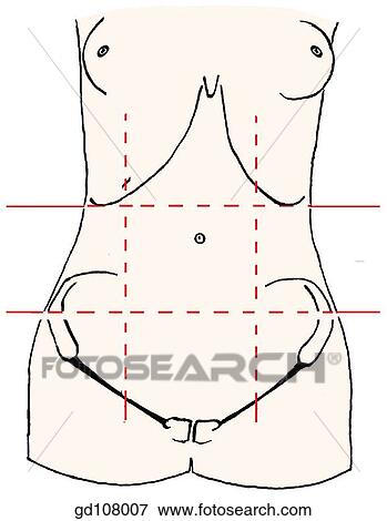 Stock Illustration - Subdivision of anterior abdominal wall into nine regions by using the subcostal plane, trans- tubercular plane (TTP), and two midclavicular lines.. Fotosearch