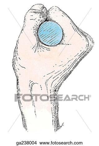 Lateral view of hand grasping an object. View Large Illustration Stock Illustration - Lateral view of hand grasping an object.. Fotosearch