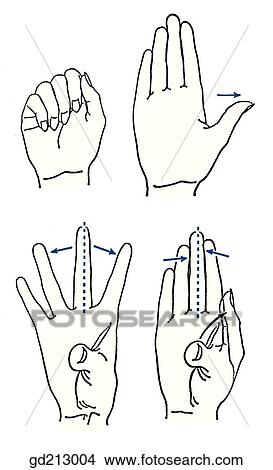Movements of fingers and thumb. View Large Illustration Stock Illustration - Movements of fingers and thumb.. Fotosearch
