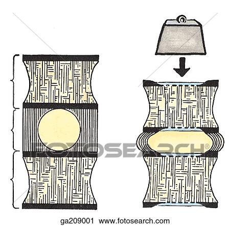 Clip Art - Schematic of anterior view of the intervertebral disk.. Fotosearch